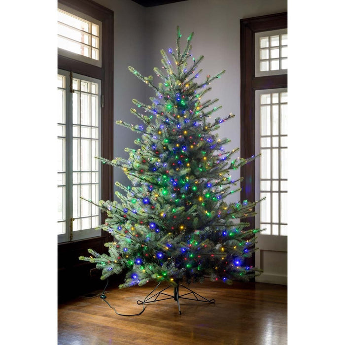 Park Hill Collection Tree Lot 7.5' Park Hill Blue Spruce LED Clear/Multi-Color Option XPQ82169