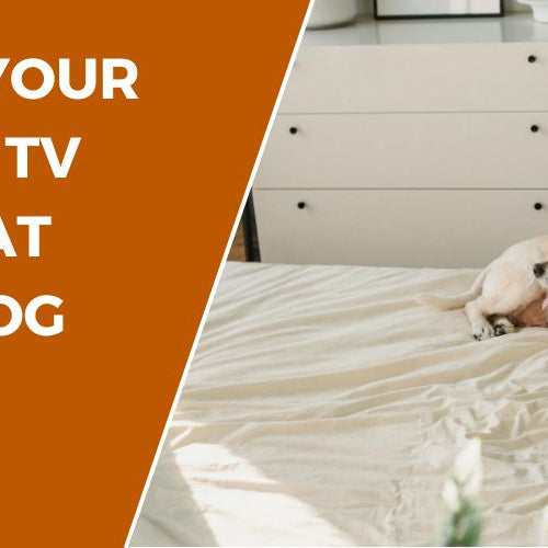 Transform Your Living Room: TV Cabinets That Double as Dog Beds