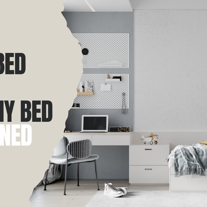 Wall Bed vs. Murphy Bed: What’s the Difference & Which One is Best?