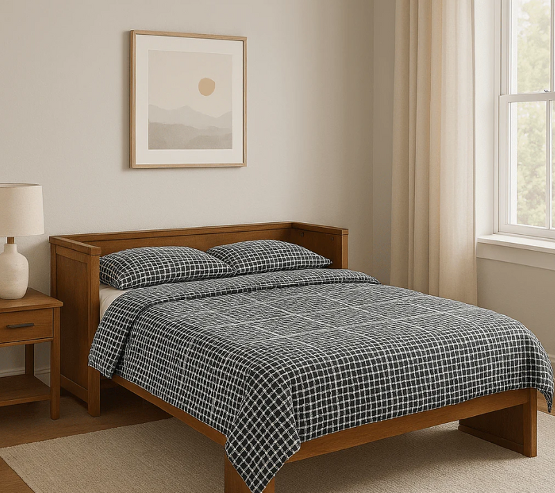 Cabinet Murphy Bed