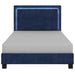 Worldwide Home Furnishings Lumina-60'' Platform Bed-Blue 60" Queen Platform Bed W/Light 101-088Q-BL