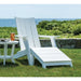 Mad Adirondack Chair