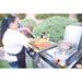 Built-In 22 Inch Griddle Teppanyaki Gas Grill