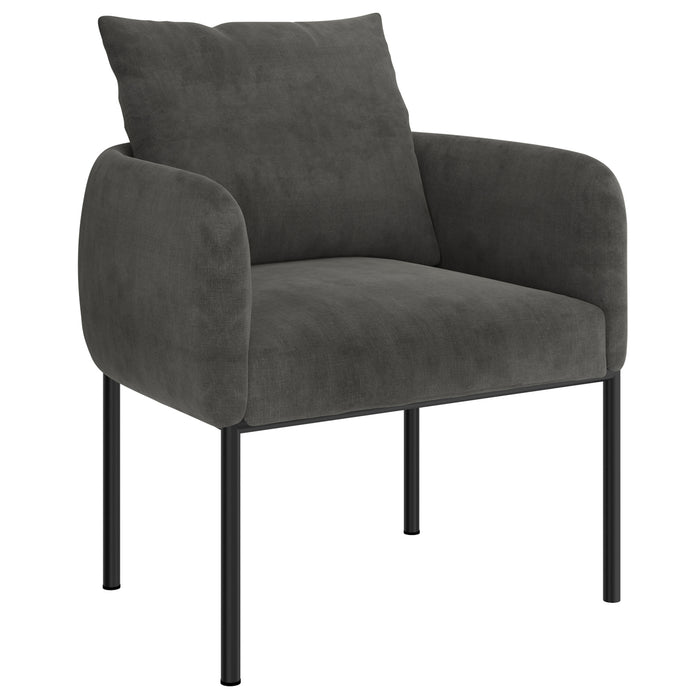 Worldwide Home Furnishings Petrie-Accent Chair-Charcoal Accent Chair 403-556CH/BK