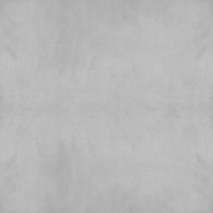 Worldwide Home Furnishings Petrie-Accent Chair-Grey Accent Chair 403-556GY/BK