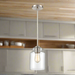 Elk Lighting Josie Satin Nickel Pendant