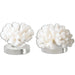 Uttermost Hard Coral Sculptures, S/2 19910