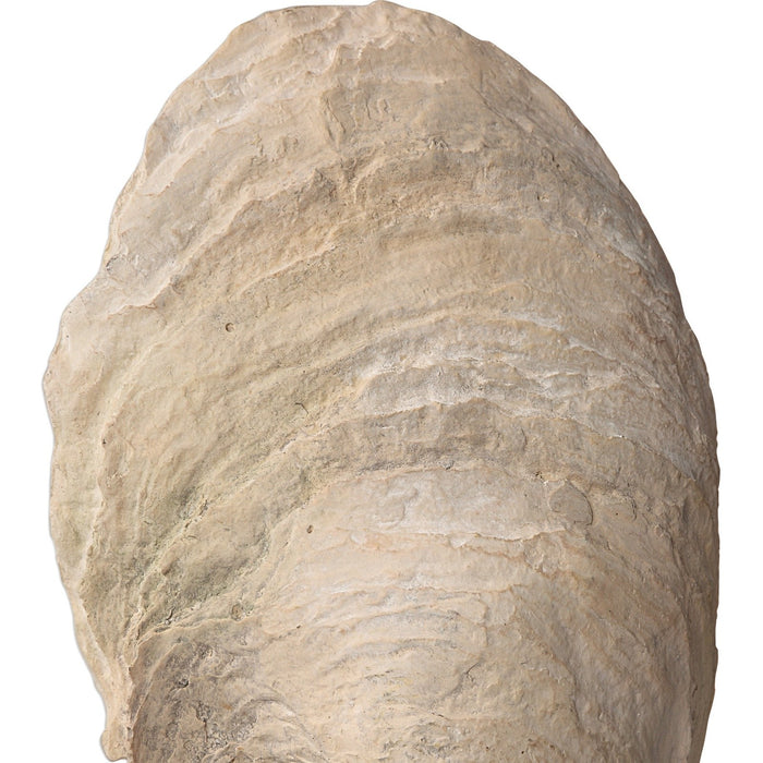 Uttermost Oyster Shell Sculptures, S/2 17523
