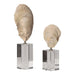 Uttermost Oyster Shell Sculptures, S/2 17523