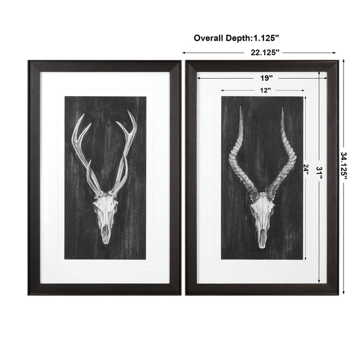 Uttermost Rustic European Mounts Prints S/2 33648