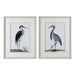 Uttermost Shore Birds Framed Prints S/2 33668