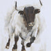 Uttermost Rustic Bull Framed Animal Print 41606