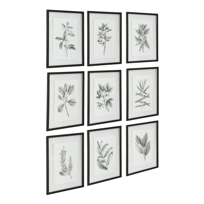 Uttermost Farmhouse Florals Framed Prints, S/9 41617