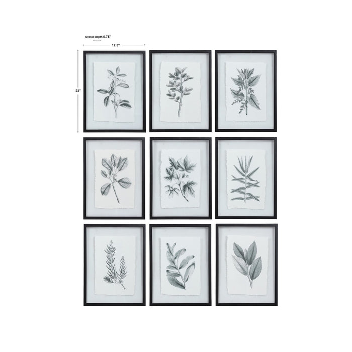 Uttermost Farmhouse Florals Framed Prints, S/9 41617