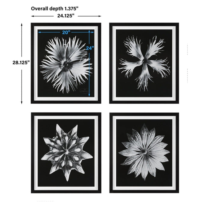 Uttermost Contemporary Floret Framed Prints, S/4 41427