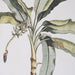 Uttermost Banana Palm Framed Prints, Set/2 41446
