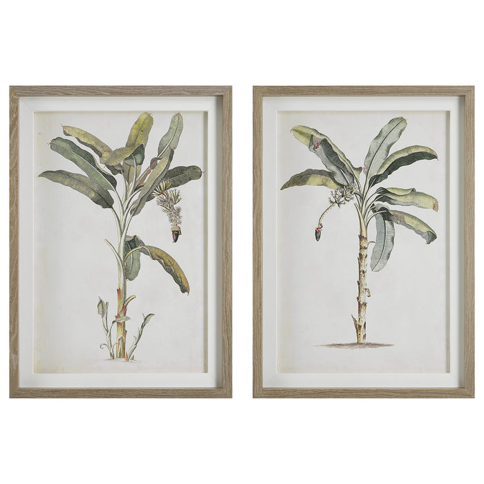Uttermost Banana Palm Framed Prints, Set/2 41446