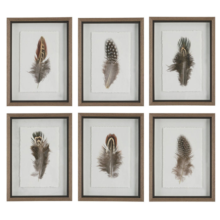 Uttermost Birds Of A Feather Framed Prints, S/6 41460