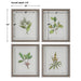 Uttermost Wildflower Study Framed Prints, S/4 41461