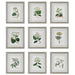 Uttermost Antique Botanicals Framed Prints, S/9 41466