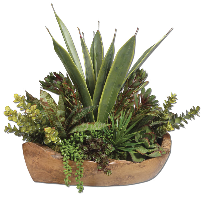Uttermost Salar Succulents In Teak Bowl 60119
