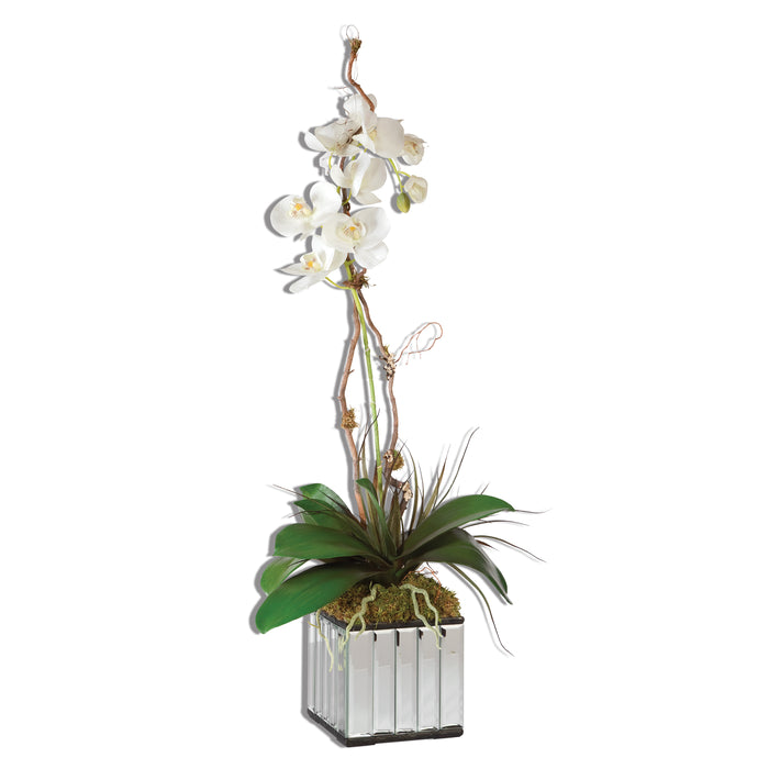 Uttermost White Kaleama Orchids 60122