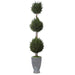 Uttermost Cypress Triple Topiary 60172