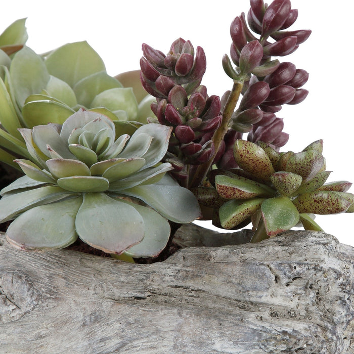 Uttermost Charita Lush Succulents 60174
