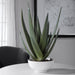 Uttermost Evarado Aloe Planter 60177