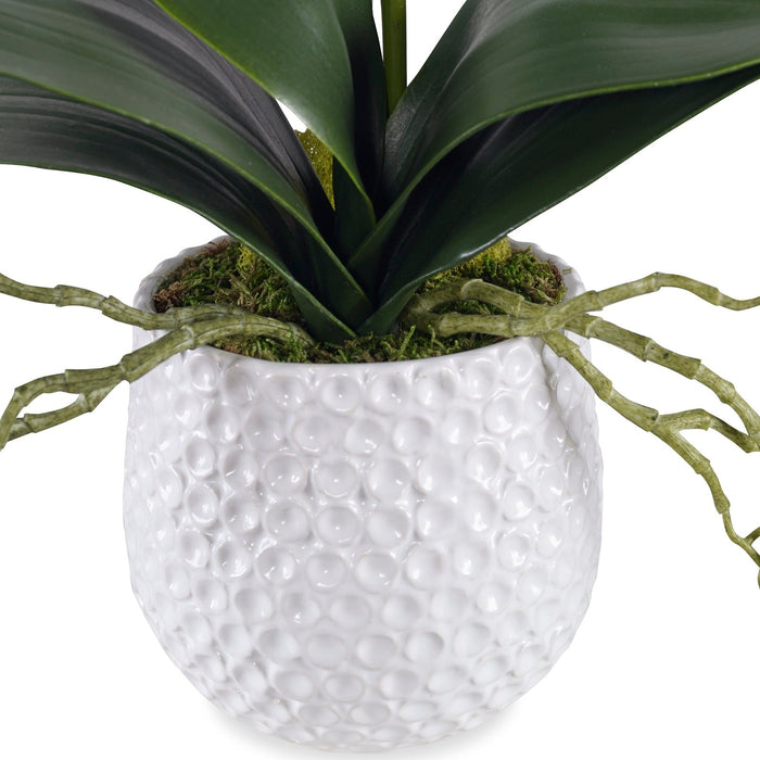 Uttermost Cami White Orchid 60178