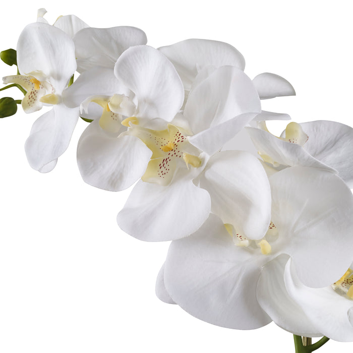 Uttermost Cami White Orchid 60178