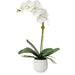 Uttermost Cami White Orchid 60178