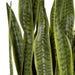Uttermost Fasita Brass Planter 2 Cartons 60185