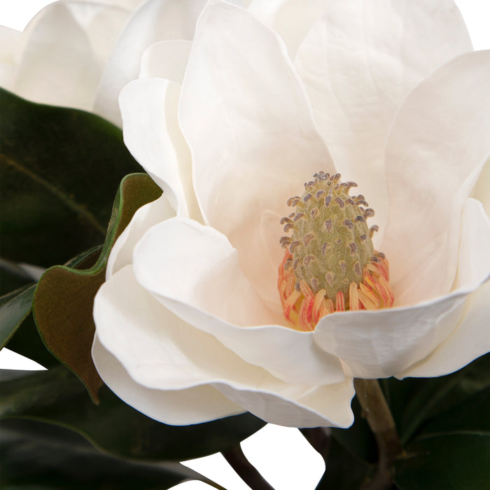 Uttermost Middleton Magnolia Flower Centerpiece 60186