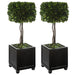 Uttermost Preserved Boxwood Square Topiaries, S/2 60187