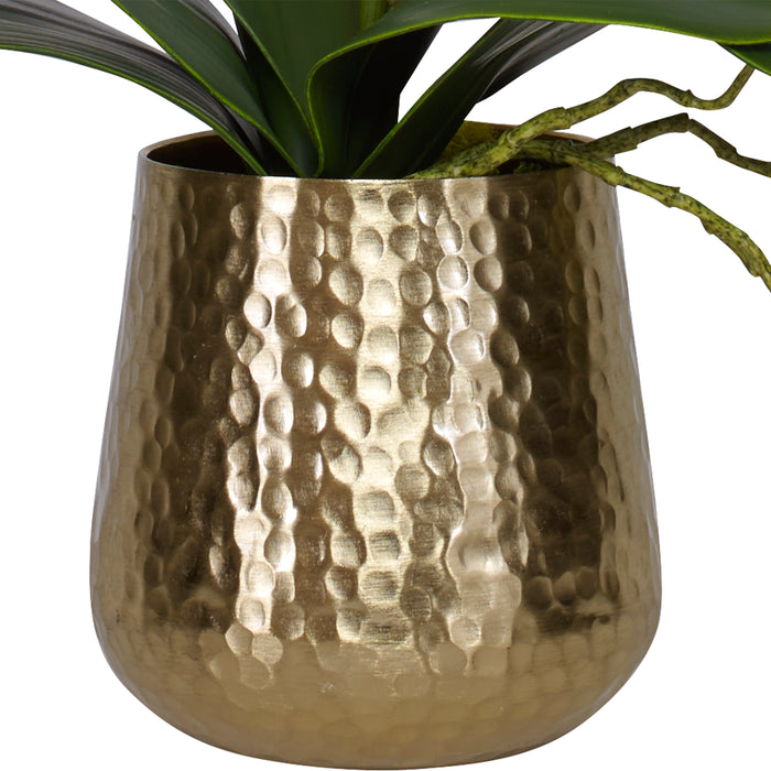 Uttermost Cami Orchid With Brass Pot 60189