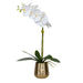 Uttermost Cami Orchid With Brass Pot 60189