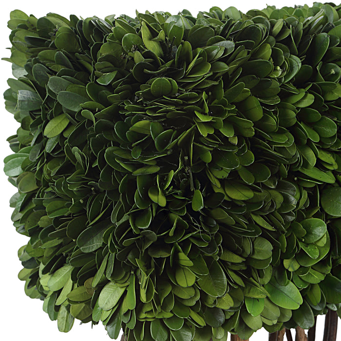Uttermost Preserved Boxwood Rectangular Topiary 60188