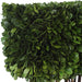 Uttermost Preserved Boxwood Rectangular Topiary 60188
