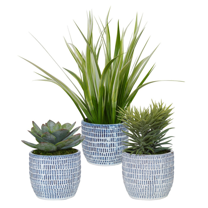Uttermost Puebla Greenery In Blue & White Pots, S/3 60192