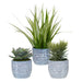 Uttermost Puebla Greenery In Blue & White Pots, S/3 60192