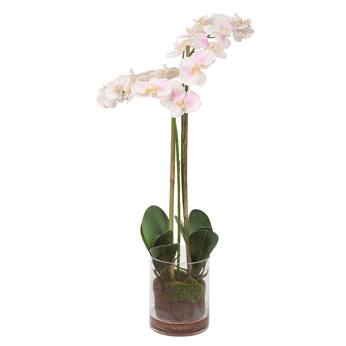 Uttermost Blush Pink And White Orchid 60196
