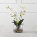 Uttermost Glory Orchid 60201