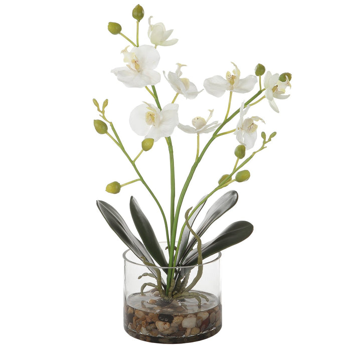 Uttermost Glory Orchid 60201