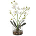 Uttermost Glory Orchid 60201
