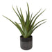 Uttermost Tucson Aloe Planter 60204