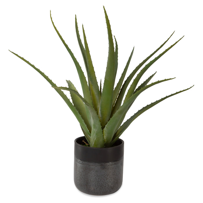 Uttermost Tucson Aloe Planter 60204