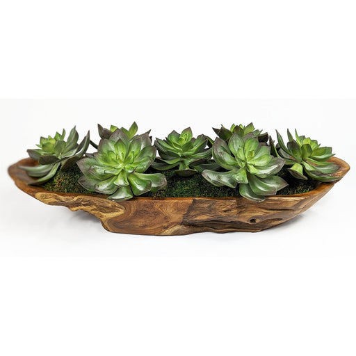Uttermost Yuma Succulent Centerpiece 60205