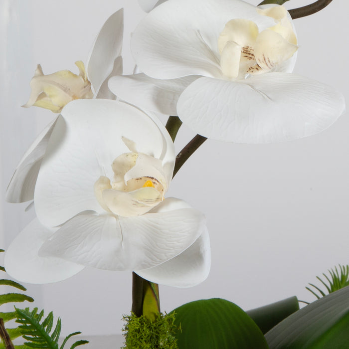 Uttermost Transcend Orchid Centerpiece 60207
