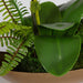 Uttermost Transcend Orchid Centerpiece 60207